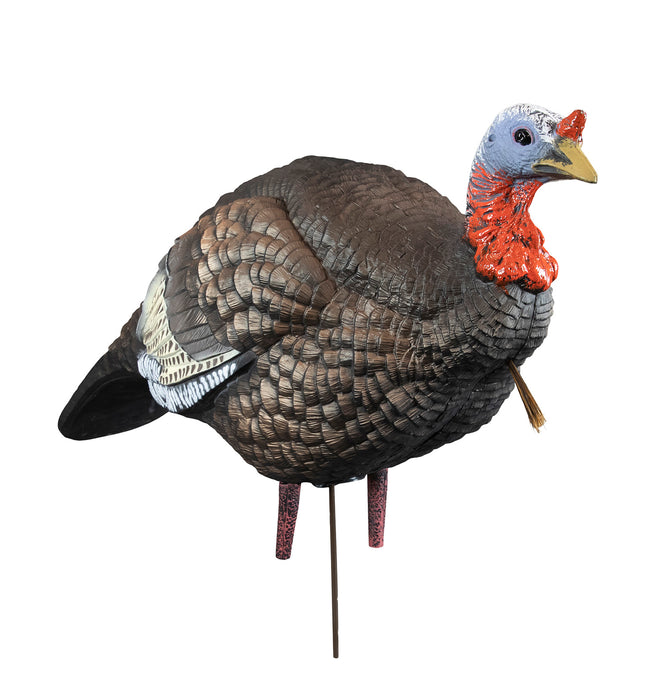 Higdon Outdoors 63144 Hard Body 1/4 Strut Jake Turkey Species Multi Color