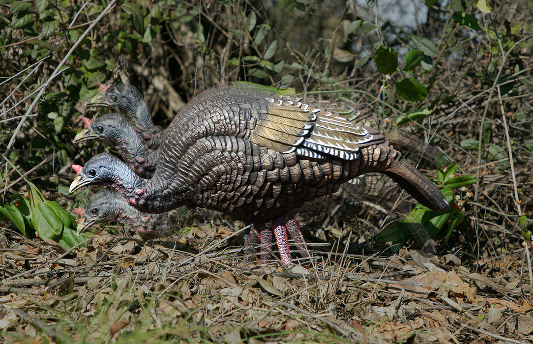 Higdon Outdoors 63171 XS Trufeeder Motion  Turkey Hen Species Multi Color Features TruMotion System