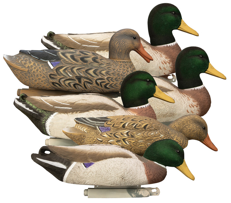 Higdon Outdoors 17053 Magnum Floaters Mallard Species Multi Color Foam Filled 6 Pack