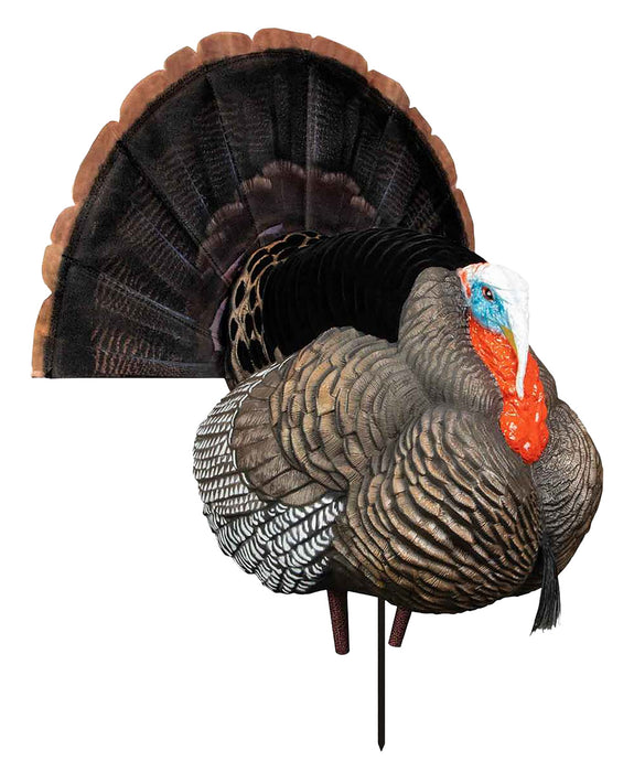 Higdon Outdoors 63175 XS TruStrutter Turkey Tom Species XS Motion