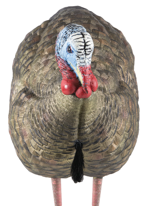 Avian X AVXAVX8012 LCD Half-Strut Jake Turkey Species Multi Color Dura-Rubber