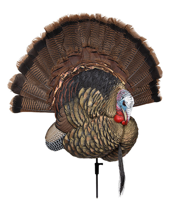 Avian X AVXAVX8021 Trophy Tom  Turkey Species Multi-Color *No Fan