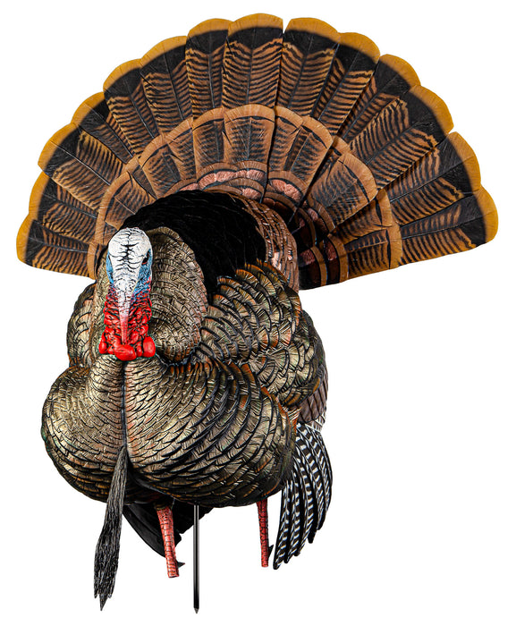 Avian X AVXAVX8108 HDR Strutter Turkey Species Multi Color