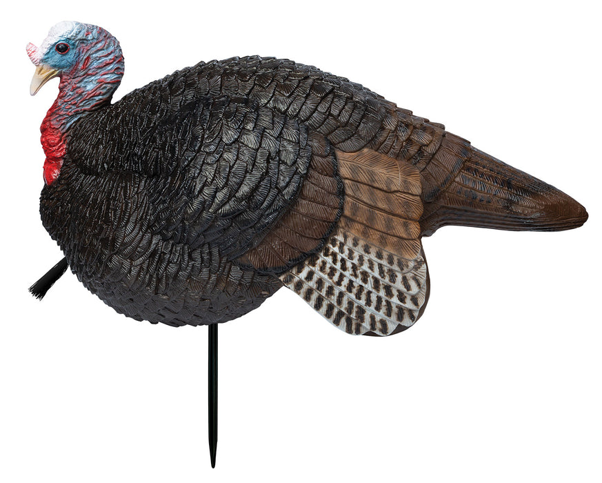 Primos 69074 Lil' Gobstopper Jake Turkey Species Multi Color