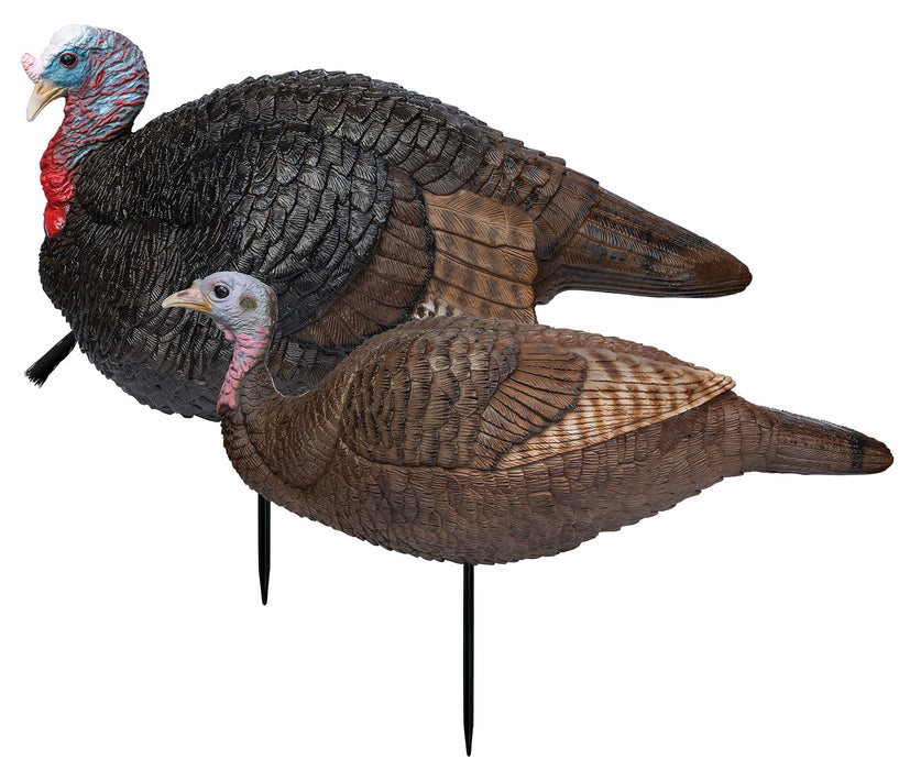 Primos 69075 Lil' Gobblestopper Jake & Hen Combo Turkey Species Multi Color