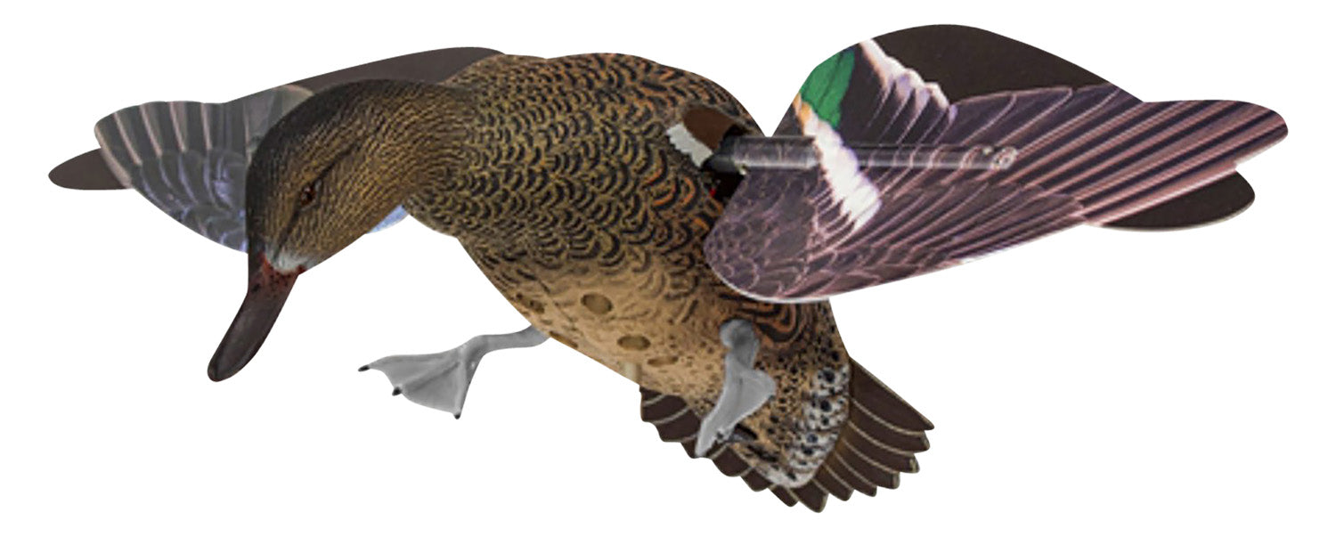 Avian X AVXPFLHT PowerFlight Hen Multi-Color 1