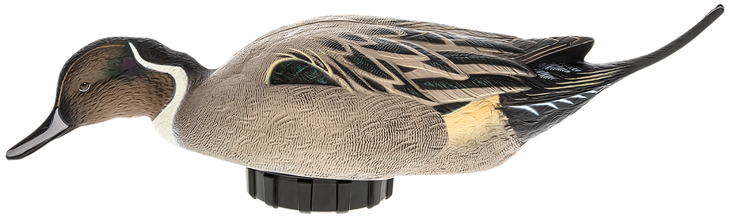 Avian X AVX-PSH-PNSF   Pintail Species Multi-Color