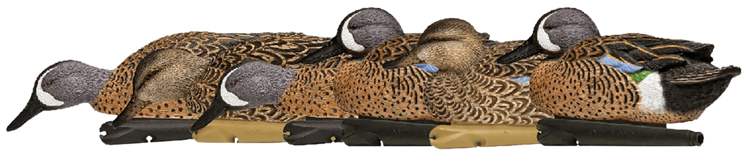 Avian X AVX-AVX8080 Topflight  Teal Species Multi-Color