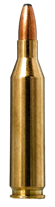 Norma Ammunition 20160332 Oryx  243 Win 100 gr 20 Per Box/ 10 Case