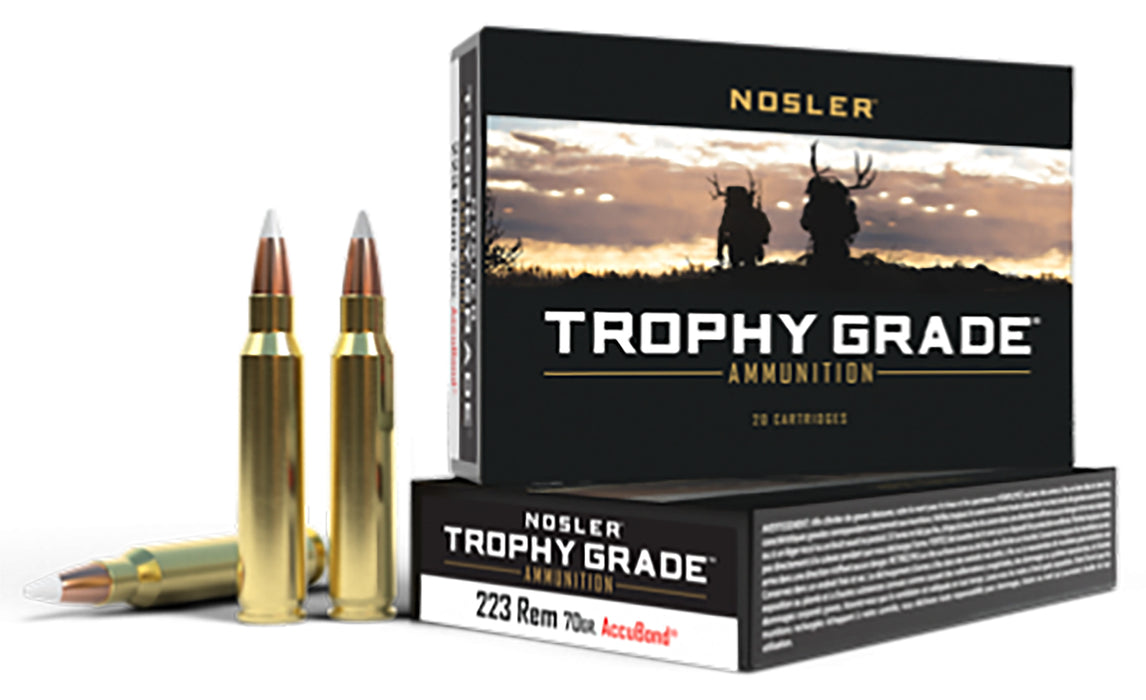 Nosler 61036 Match Grade  223 Rem 70 gr Soft Point 20 Per Box/ 20 Case