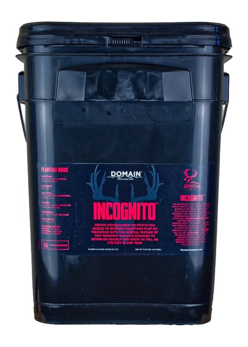 DOMAIN INCFP325   INCOGNITO