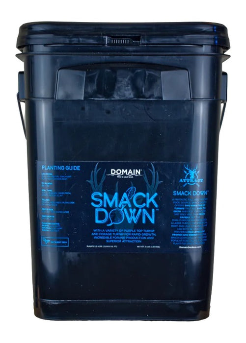 DOMAIN SDFP3      SMACK DOWN