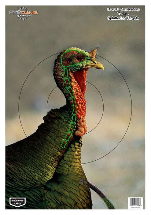 Birchwood Casey 35403 Pregame  Turkey Paper Hanging Universal 12" x 18" Multi-Color 8 Per Pkg